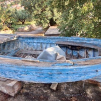 Barka Roka Markovine, Lumbarda, lipanj 2023. Foto: Matea Šabić Sabljić